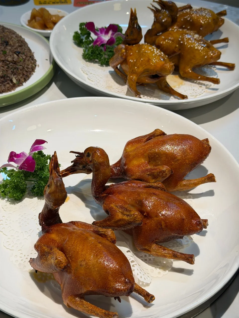 珠海这家中山乳鸽也太正宗了，横琴口岸4楼