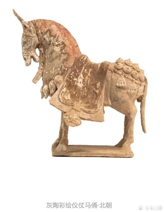 马年看马灰陶彩绘仪仗马俑 来看一匹来自北朝的“仪仗担当”——灰陶彩绘仪仗马俑。它