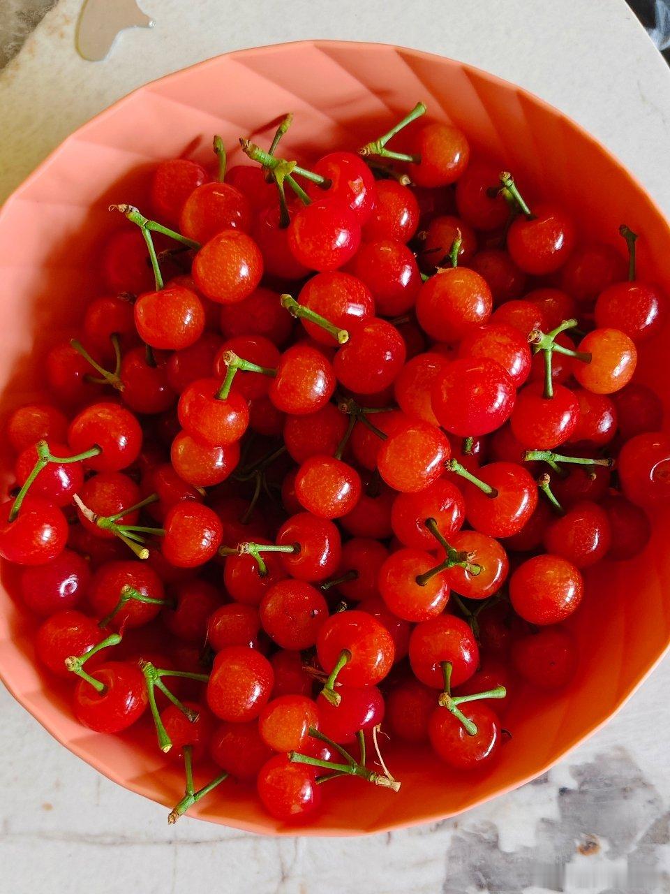哇这个樱桃🍒才10块一斤，特别新鲜的！ 