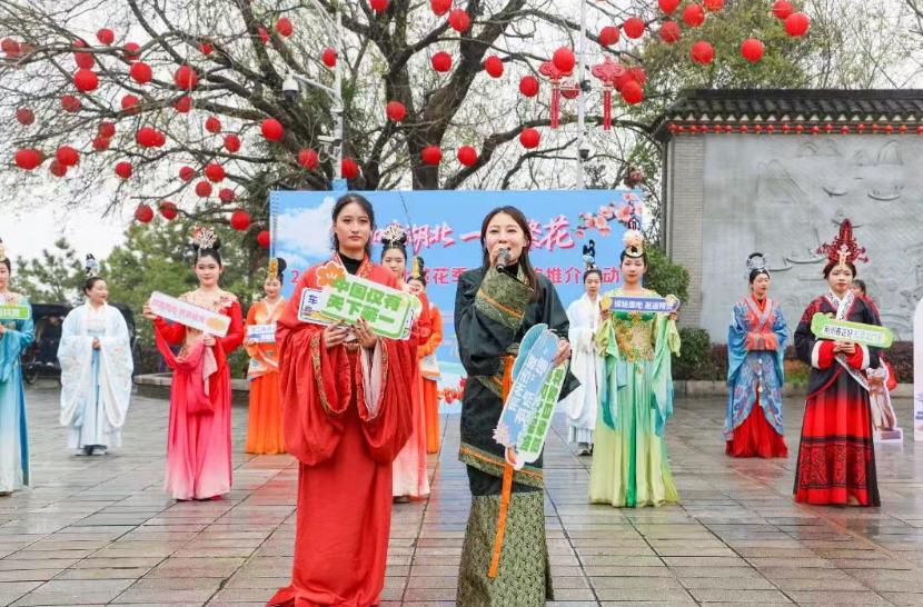 跨省文旅愁无伴？湖北岳阳搭桥梁，荆楚繁花引湘客共赏
不少人想跨省逛美景却愁资源不