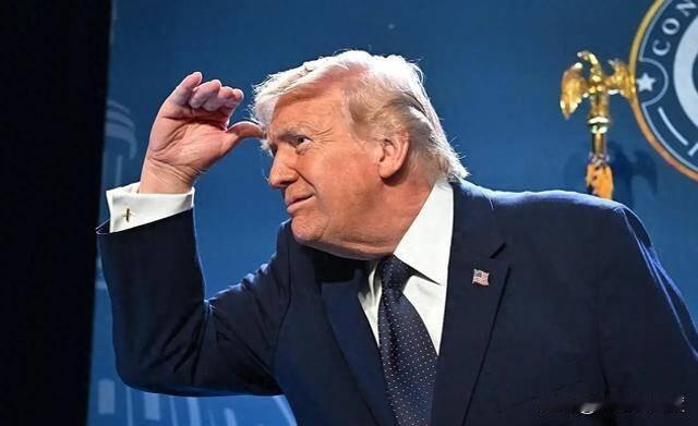 特朗普突然下令暂停空袭


 
阿克西奥斯新闻网曝出重磅消息：特朗普叫停美军24