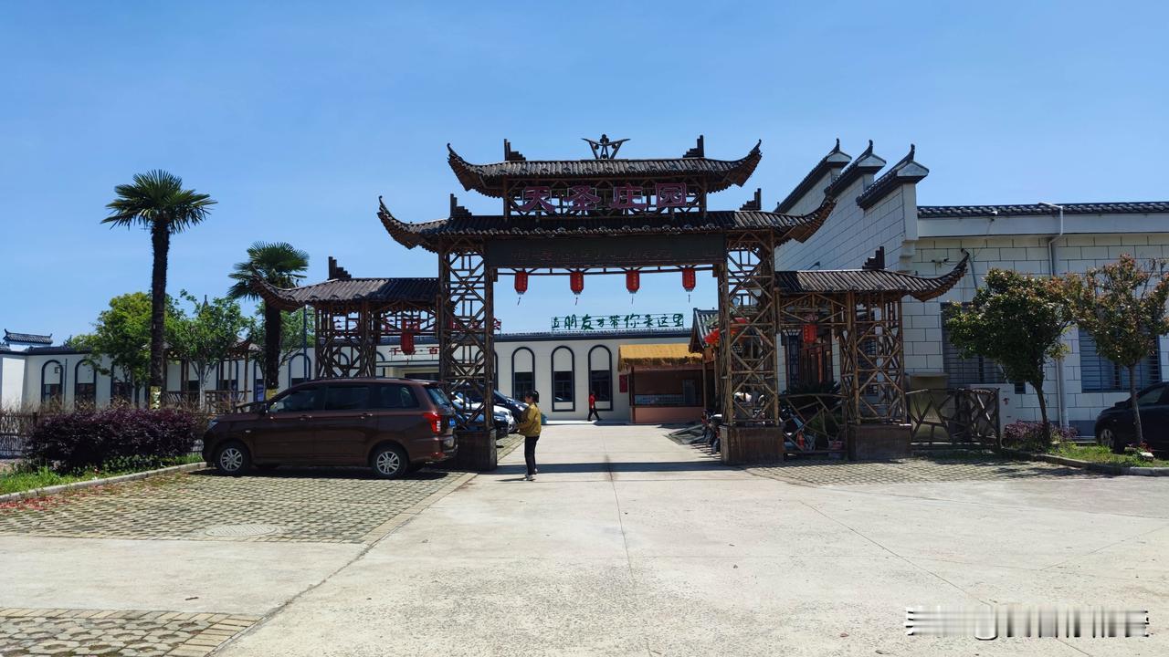 未来，AI演员不会取代真人演员。诚然，AI演员具备诸多优势，例如可24小时持续拍