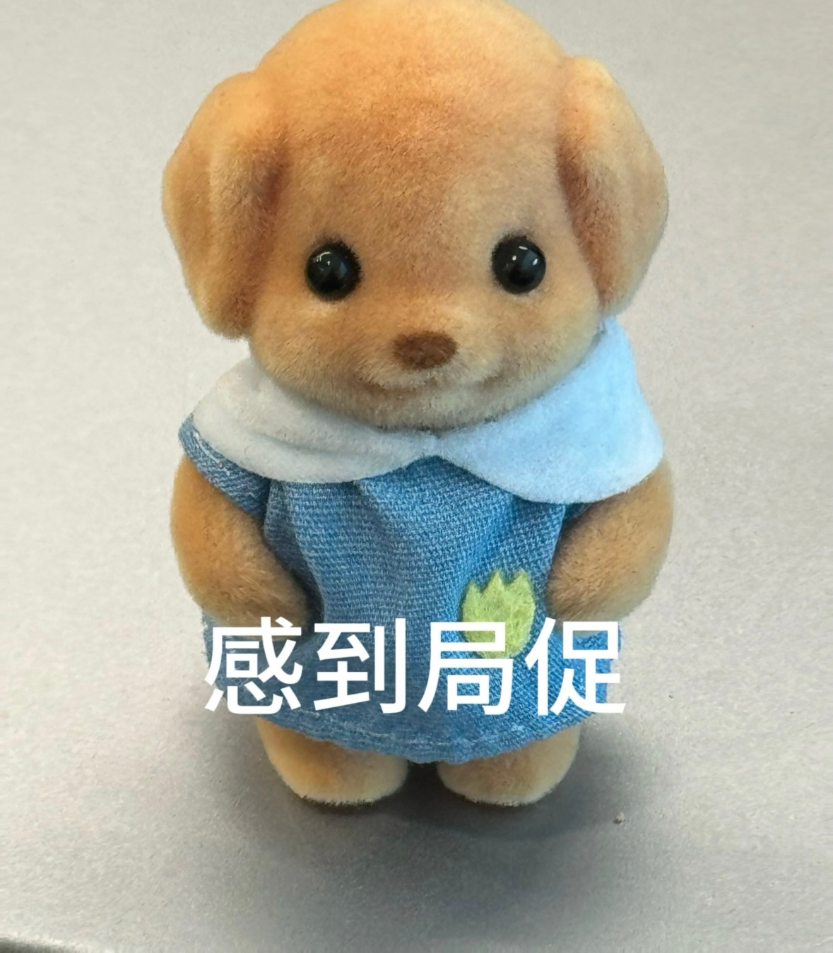 神秘之师和韩国队击掌感觉好奇怪哈哈哈哈哈哈哈哈哈哈哈哈哈哈哈哈哈哈哈哈哈哈哈哈哈