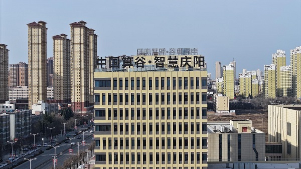 [地评线]贺兰山网评:“点线面”织网,中国经济2025筑就系统韧性