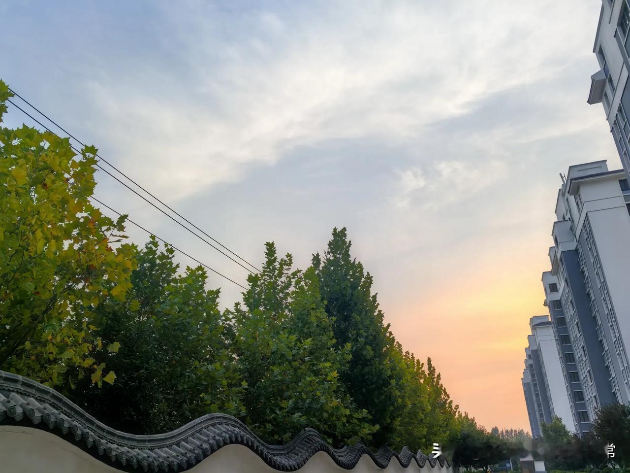 图1是6:20晨跑开始时拍的。这时，东方的朝霞隐藏在树梢后，刚露出一点霞光，橘红