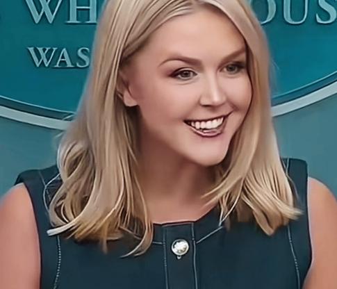 特朗普第一任期的发言人麦克纳尼和第二任期的发言人莱维特！
两人的颜值是不是都不错