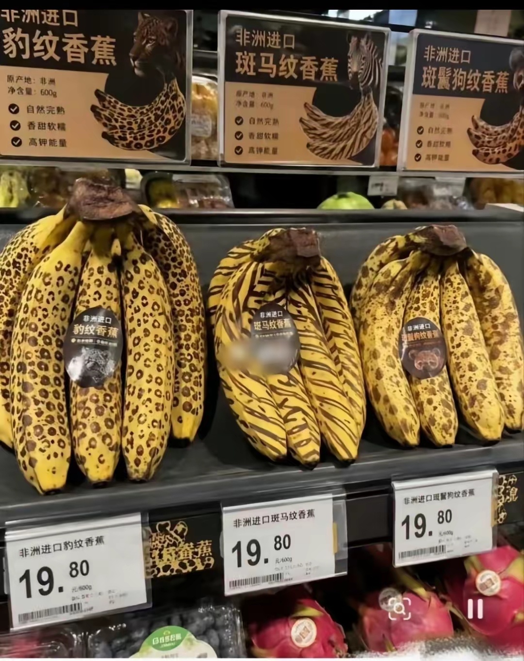 长见识了