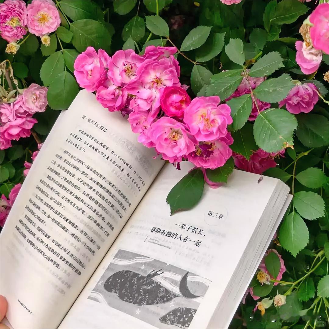 “满目山河空念远，落花风雨更伤春，不如怜取眼前人。”走过半生才真正懂得，最珍贵的