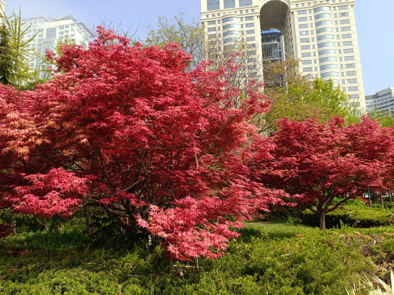 中老年人尤其是退休后的人，穿着以舒适为主，可以选择比实际年龄小一些的衣服，但切勿