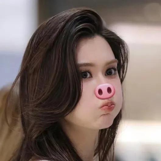 给我点我家猪猪蕾表情包 