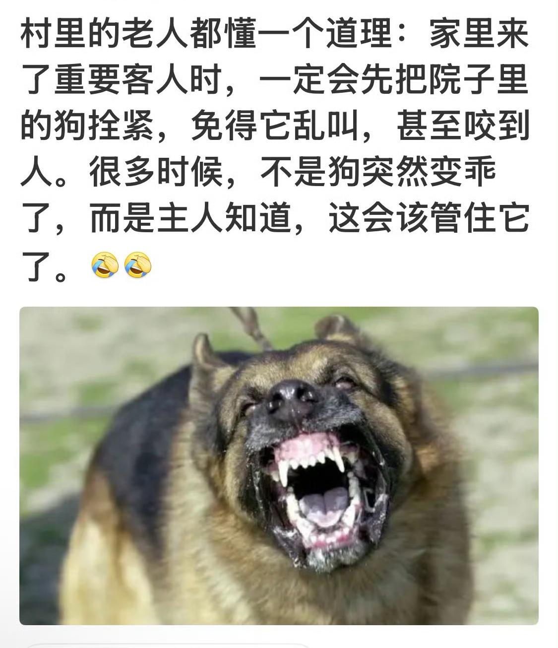 还是网友懂得多！