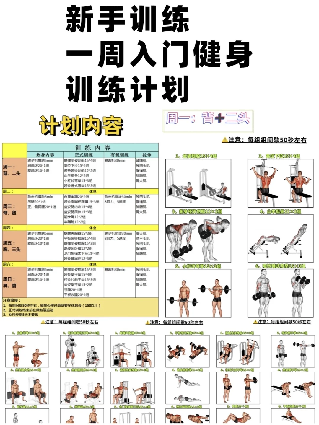 新手健身，入门训练计划！一周4次练全身！