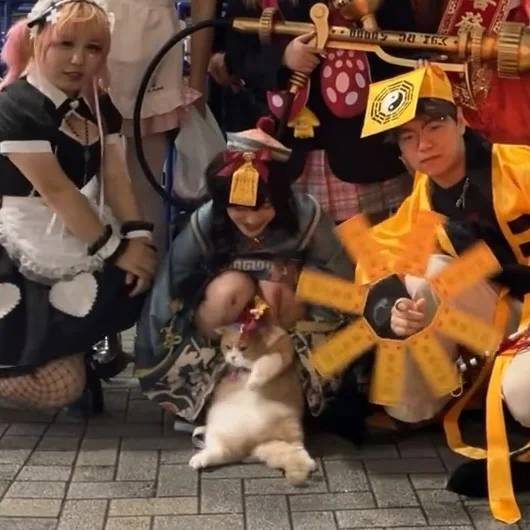 在东京万圣节看到一只超肥僵尸