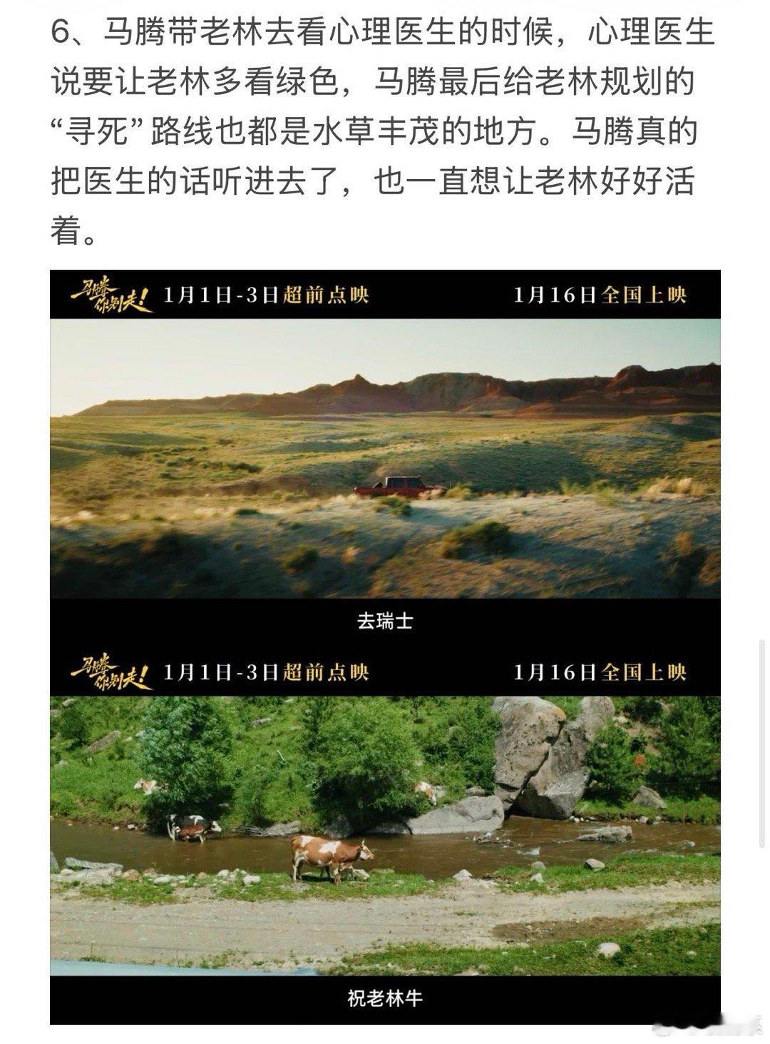 马腾你别走 死亡代餐 从“老林扭扭死”扭蛋机到瑞士安乐死的排期旅行，马腾用他天马