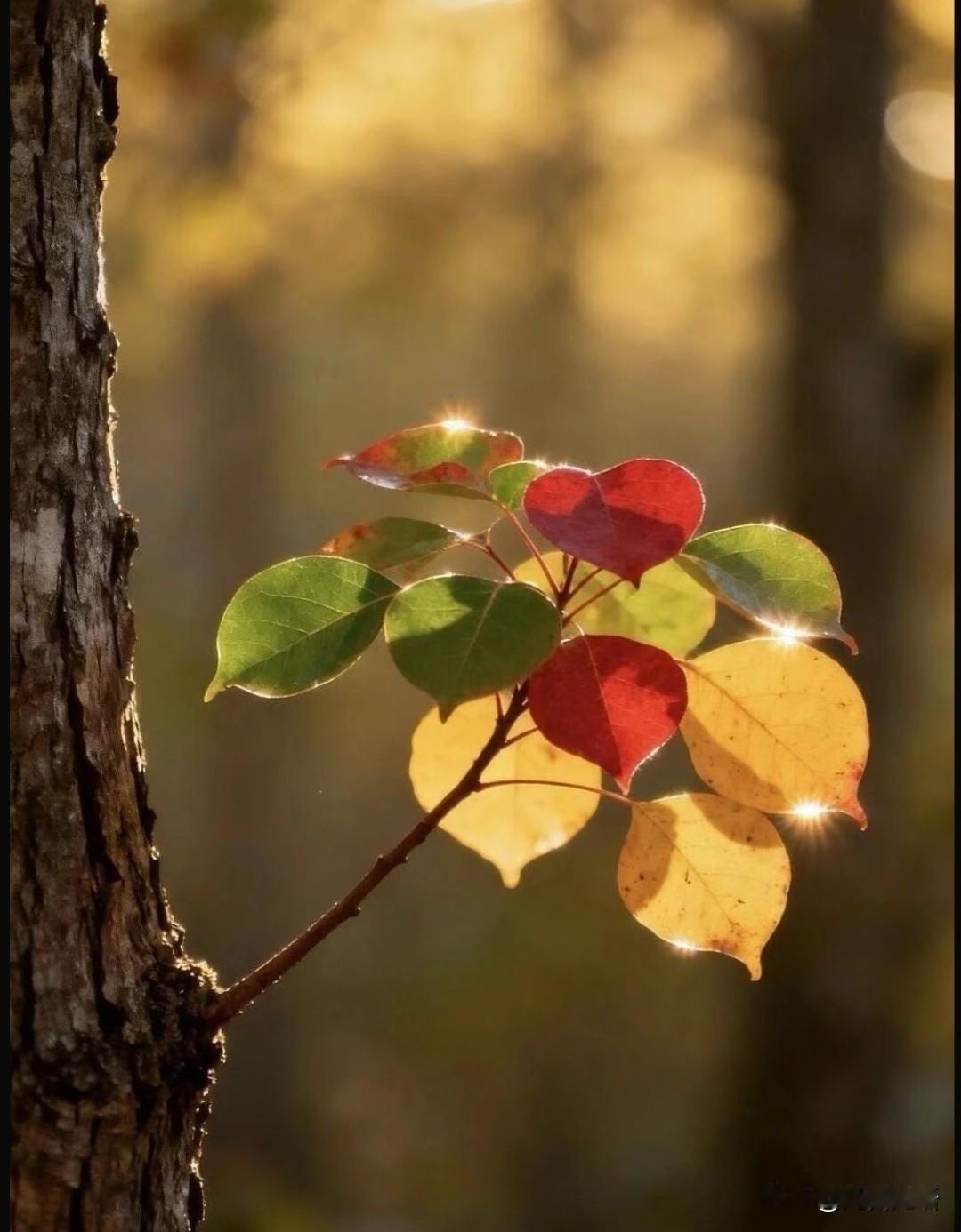 早上好，我的朋友
晨光不负赶路人
愿你今天：
遇到的第一个客户顺利签约
解决的难