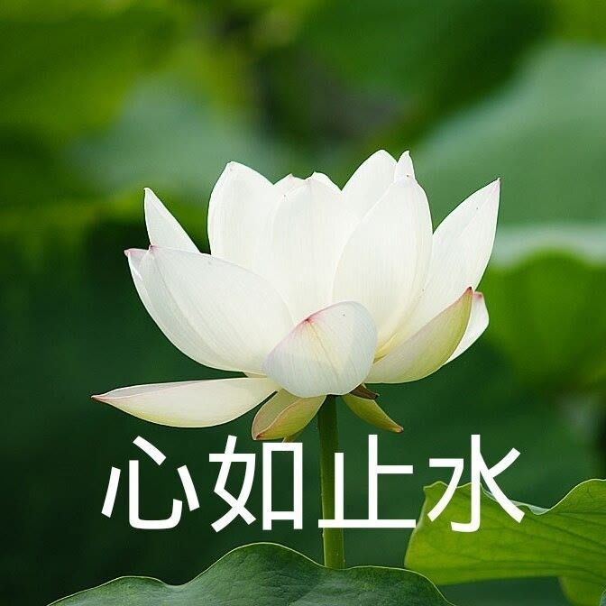 这句话去年3月写的，现在看还是如此：如果我哪天退圈了，只有一个原因，就是被同担蠢