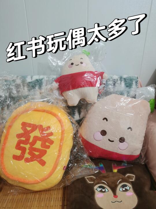 穷游趣事*玩偶，轻松拿到手软