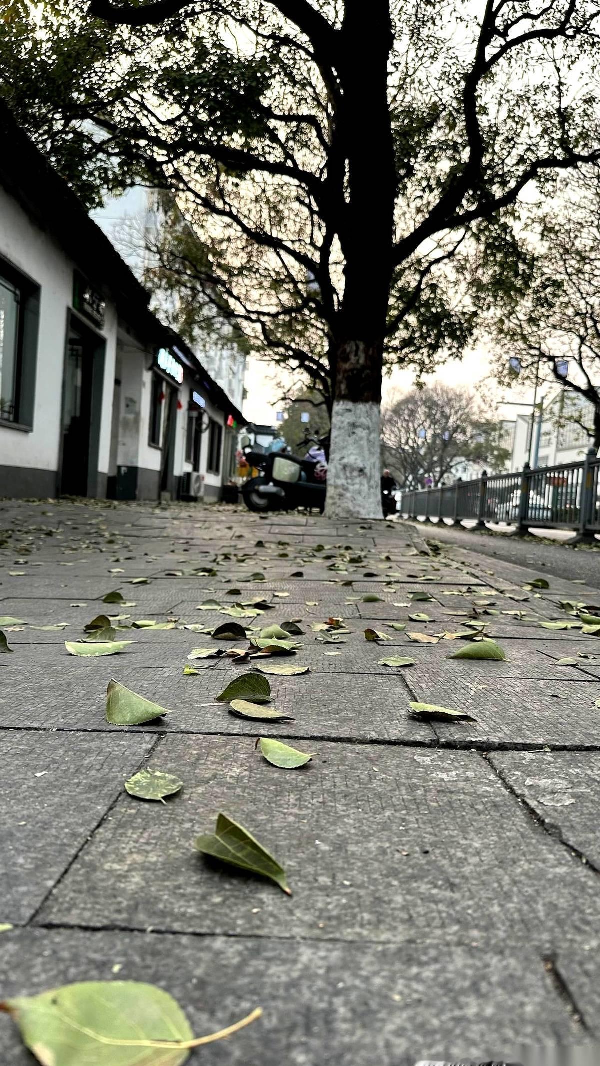 外面2度。
我家里，空调开到26度。
我就穿着个大裤衩，短袖T恤，在屋里晃悠。