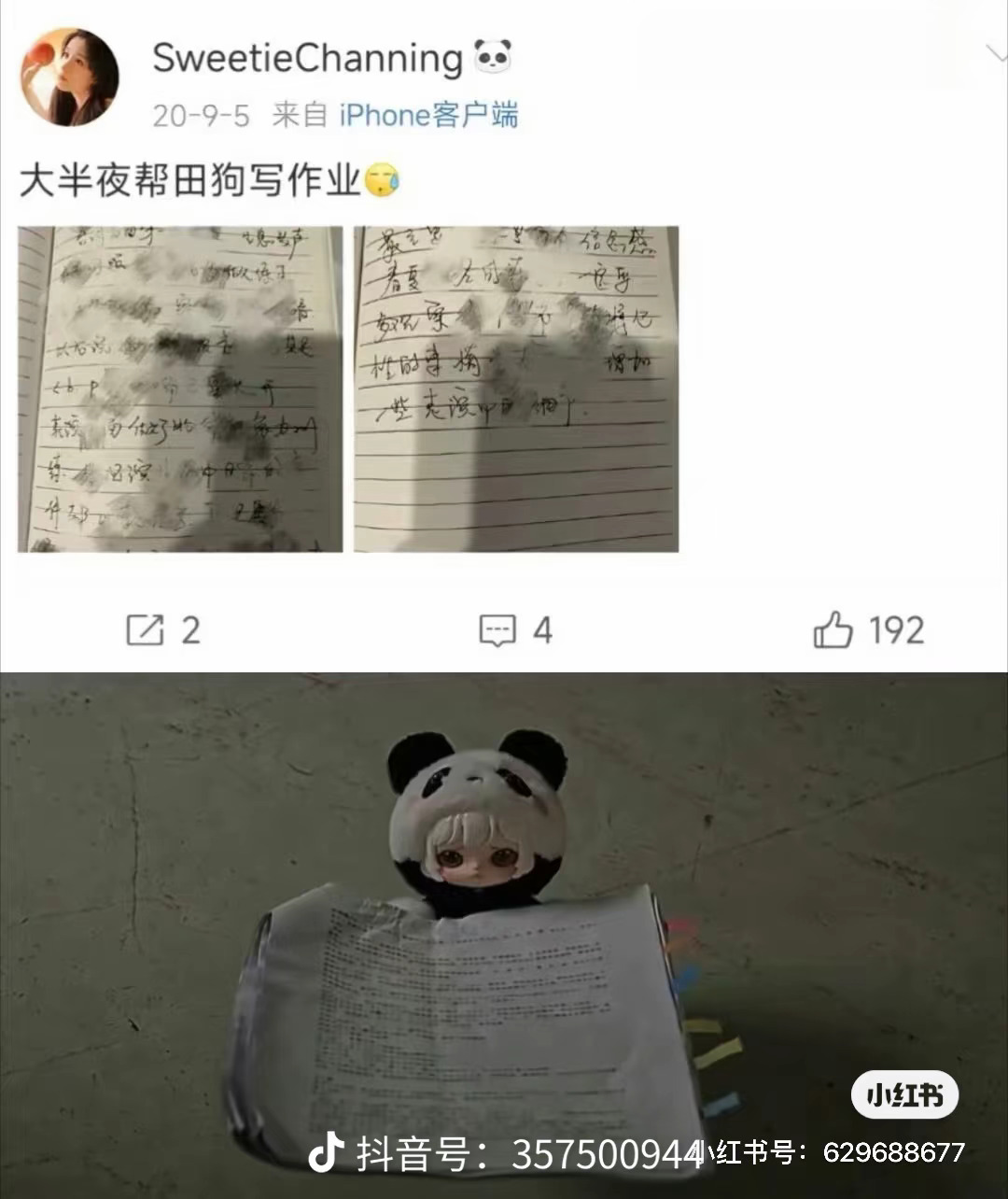 田雷想苏苏了 