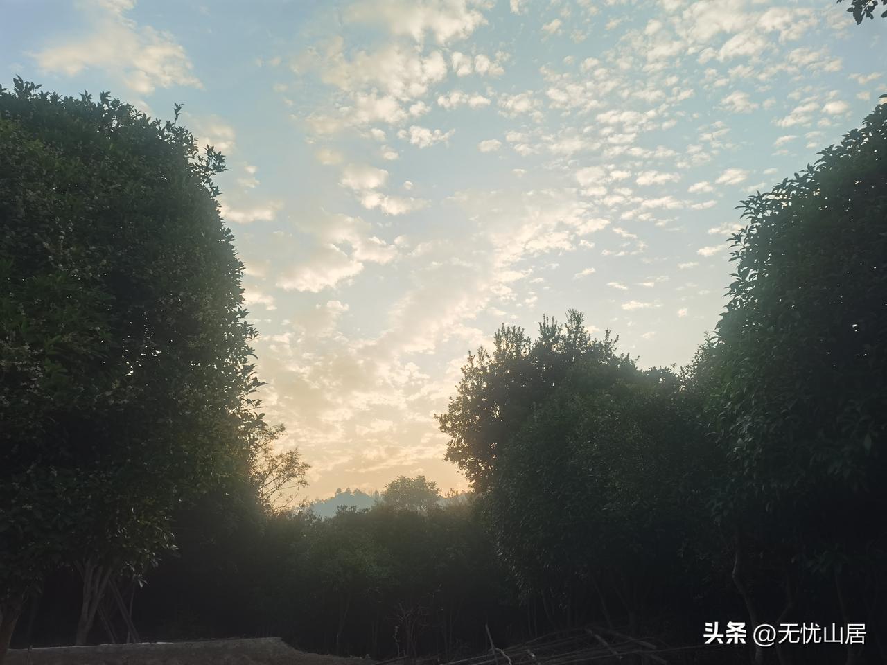 天崩地裂，狂风暴雨。地上水流成河，到处是流浪的人群。
昨夜又梦到，战争开始了。