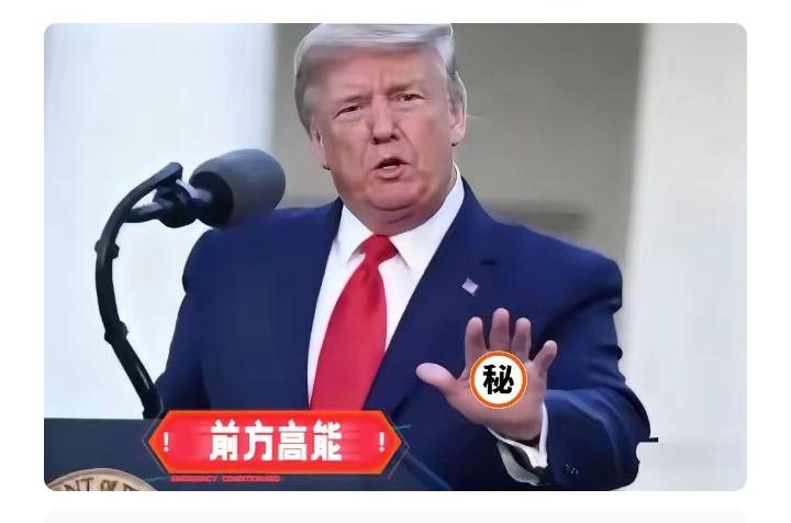 哇塞，特朗普这是要“赔了夫人又折兵”？

这不，美国那边刚传来大消息，11月6日