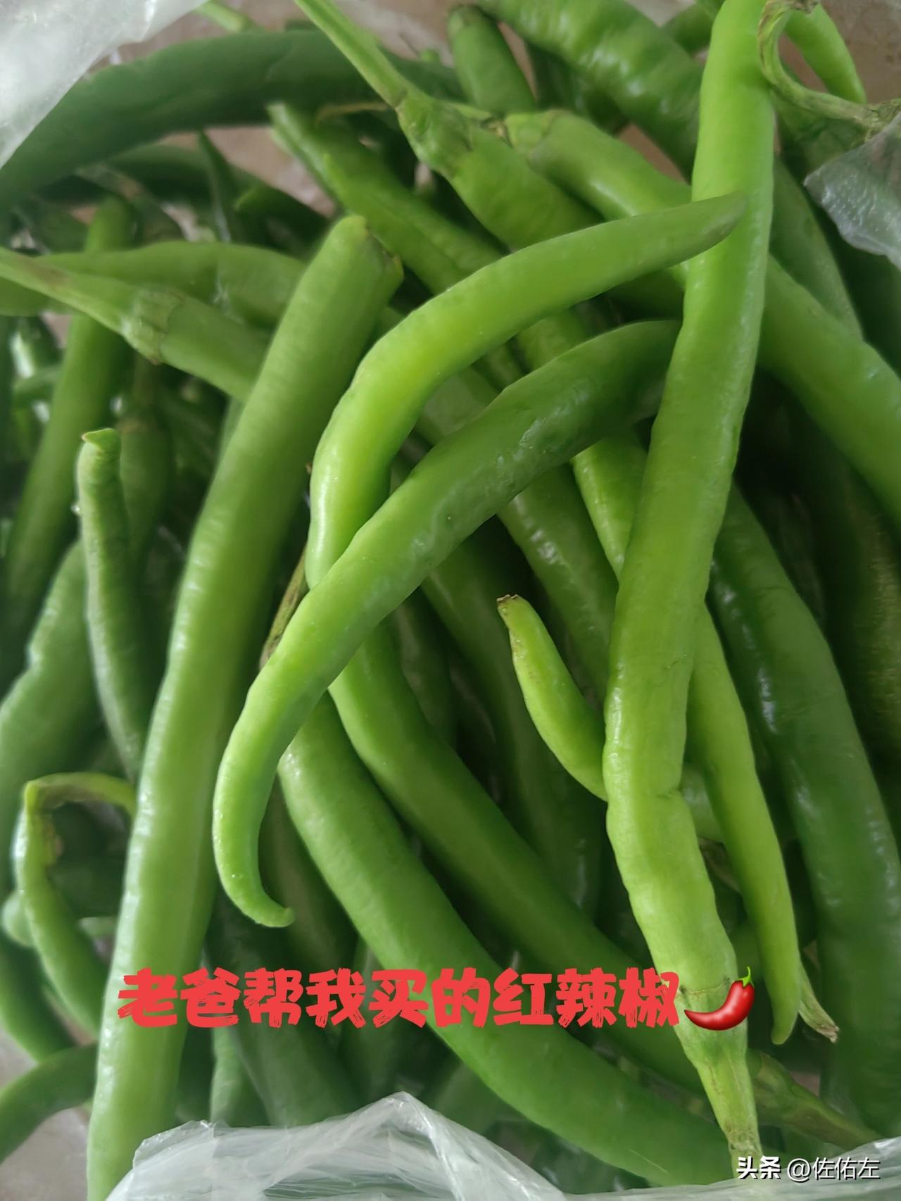 老人瞌睡少，爱早起逛早市，不是说非要买什么，逛逛看看，图个热闹，也为依墙根晒太阳