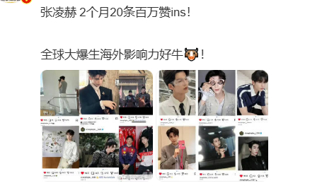张凌赫2个月20条百万赞ins张凌赫2个多月20条百万赞ins张凌赫2个多月20