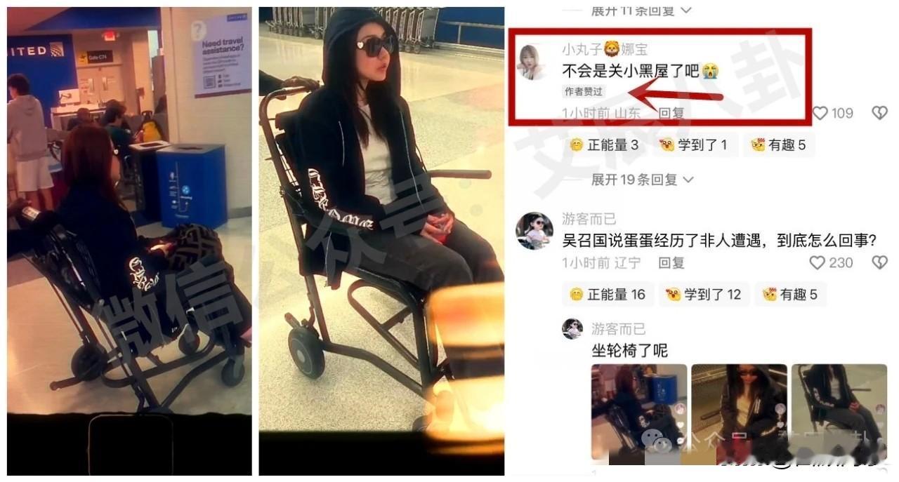 细思极恐！蛋蛋坐轮椅默认被关“小Hei屋”受非人待遇，答复：法律会给我答案。
