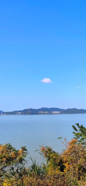 哈马斯竟愿交出武器？中东变局来了！
亲爱的朋友们大家好，我是海林小百科！今天我们