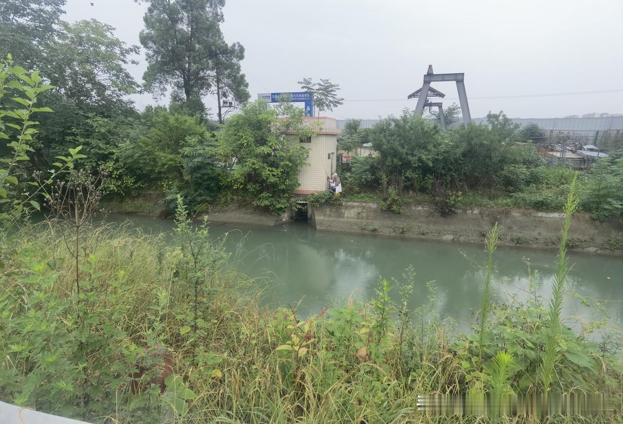 锦瑟
 
【唐】李商隐
锦瑟无端五十弦，一弦一柱思华年。
庄生晓梦迷蝴蝶，望帝春