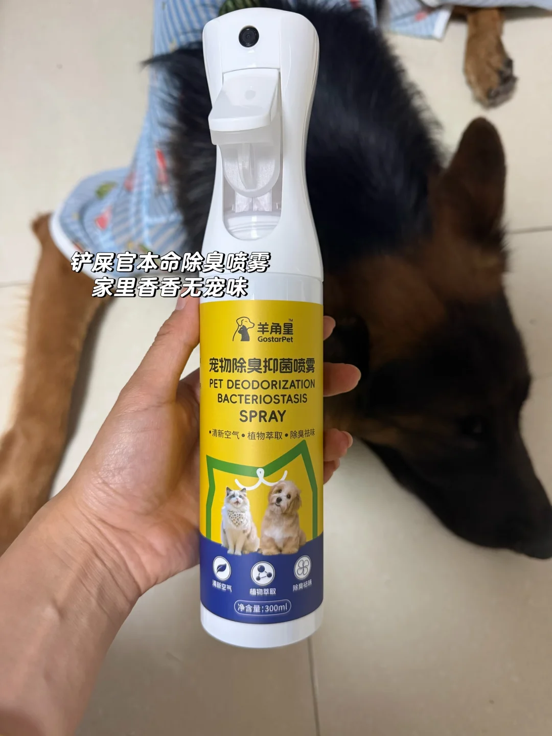 养宠无异味秘密｜抑菌除臭双在线