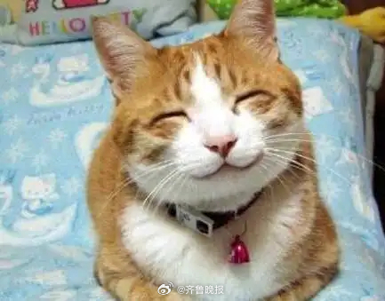 #早安# 生活是在你眉开眼笑的时候，一天天好起来的。 ​​​