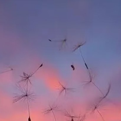 每日一善‎每日一善 生活没有解药但有布洛芬和酒精一个能治疗身体上的痛一个却治愈不