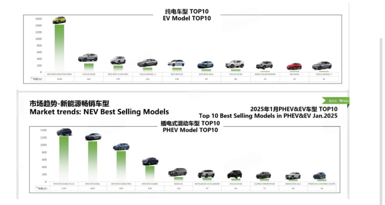 2024年至2025年1月，比亚迪在拉美重点市场如墨西哥、哥伦比亚等国的销量提升