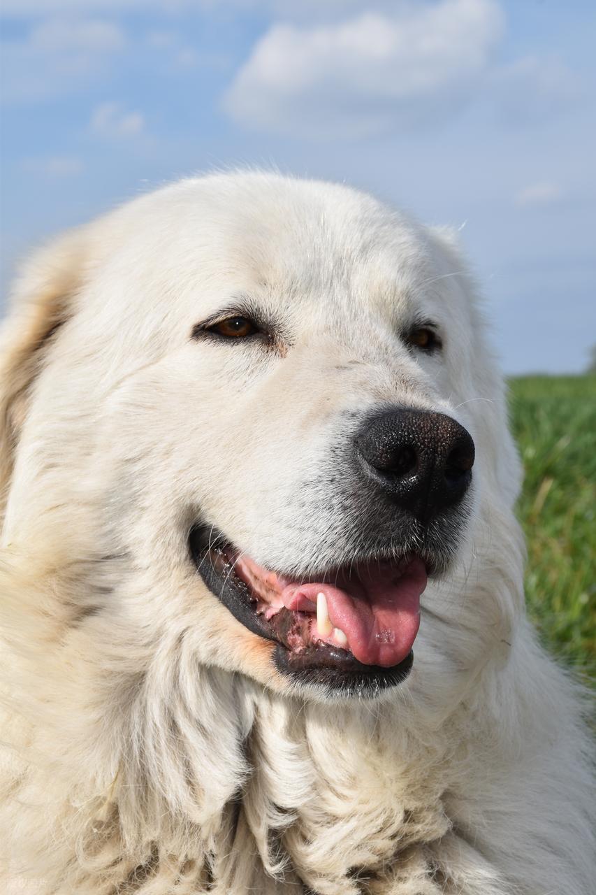 明朝传奇故事
明朝洪武以来，有粮长职务。所谓粮长就是负责督管里长收粮等任务的一个