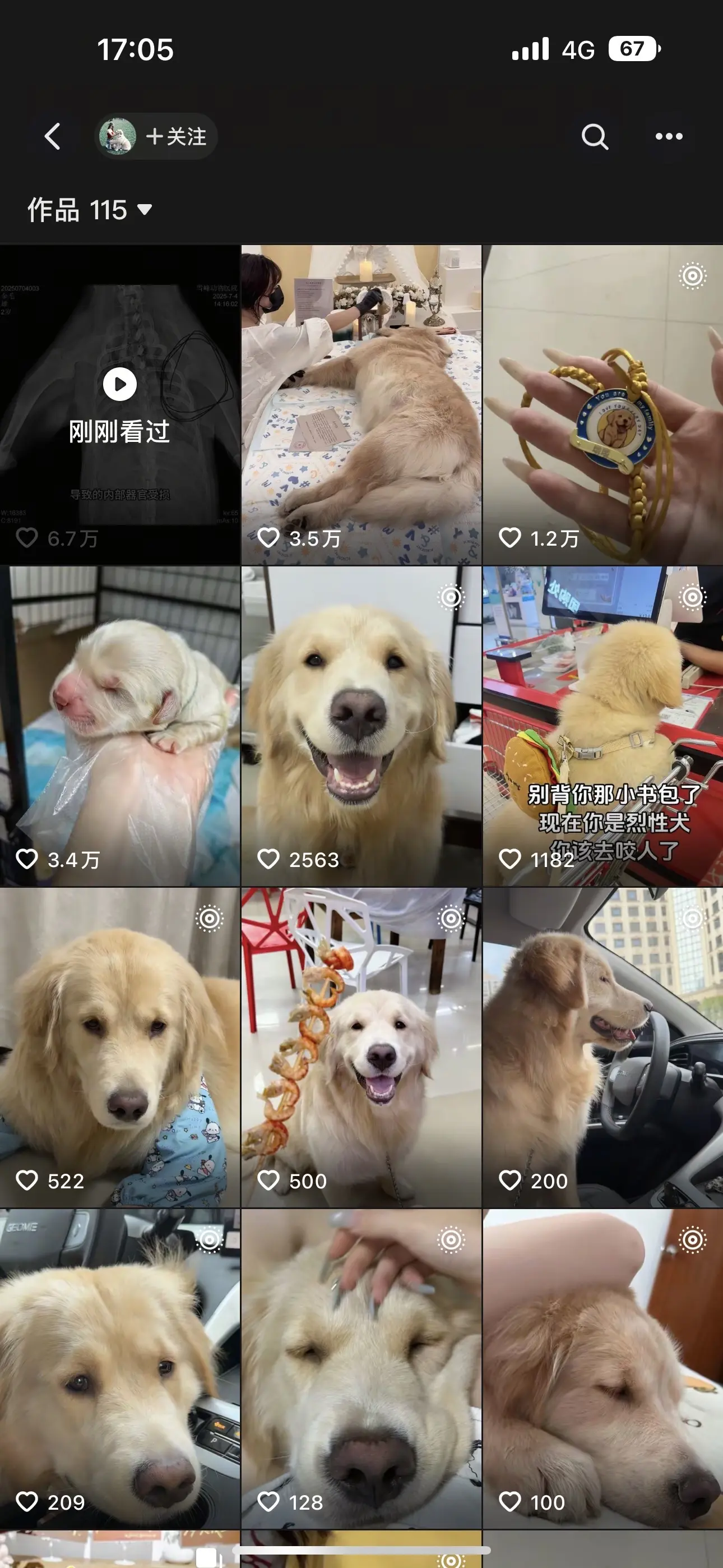 尊重生命 善待动物 世界也是属于他们的 活蹦乱跳的宝宝短短五分钟被活生...