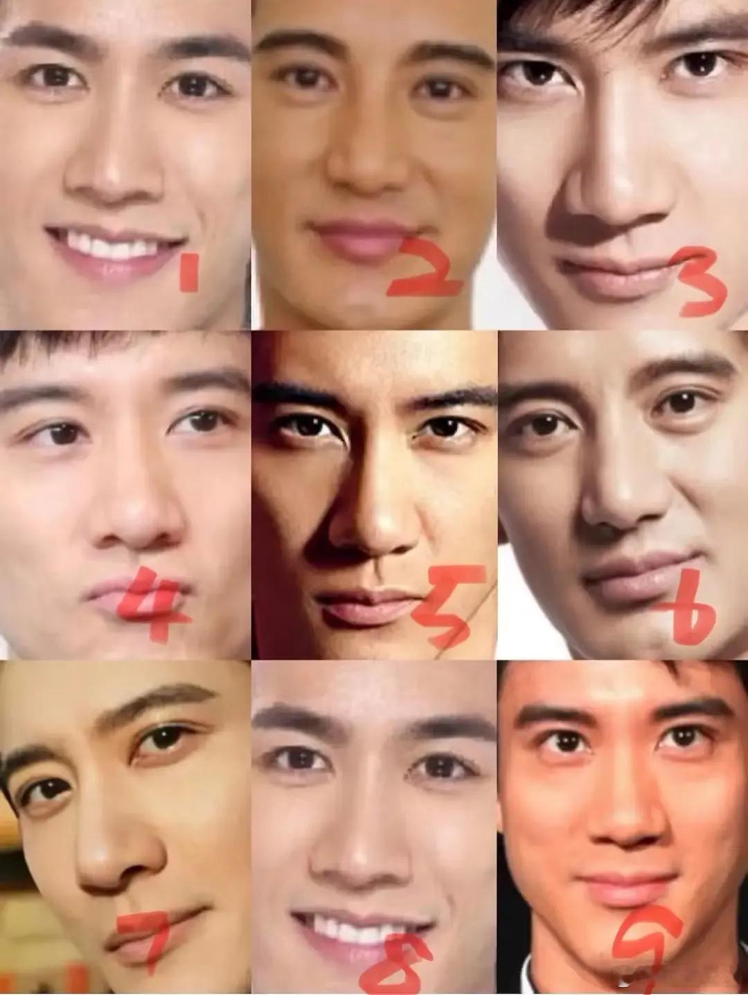 谁能找出图中所有王力宏？？这里面是不是没把蒲巴甲放进去？ 