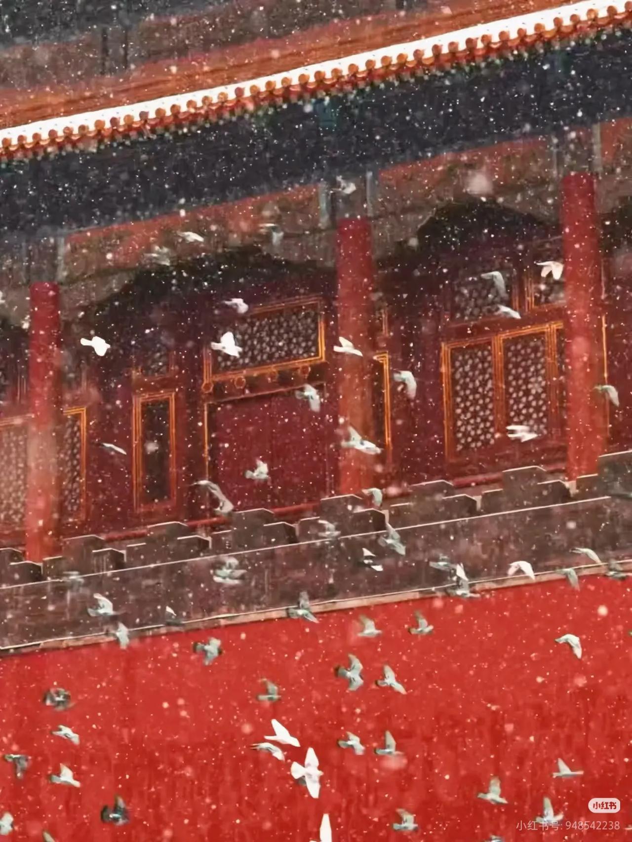 电影感｜宋徽宗笔下的中式美学 ！

第一次拍故宫雪景～
雪落宫墙，天地肃然。
没