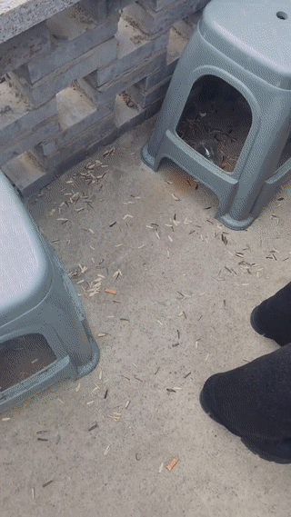 一男子参加朋友婚礼。
竟然用一张外币来随份子钱？
这可把记帐的大爷看懵了？同事结