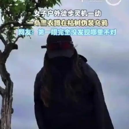 人怎么可以这么聪明！
 
陕西西安，一女子和朋友去户外徒步，路过一棵光秃秃的树时