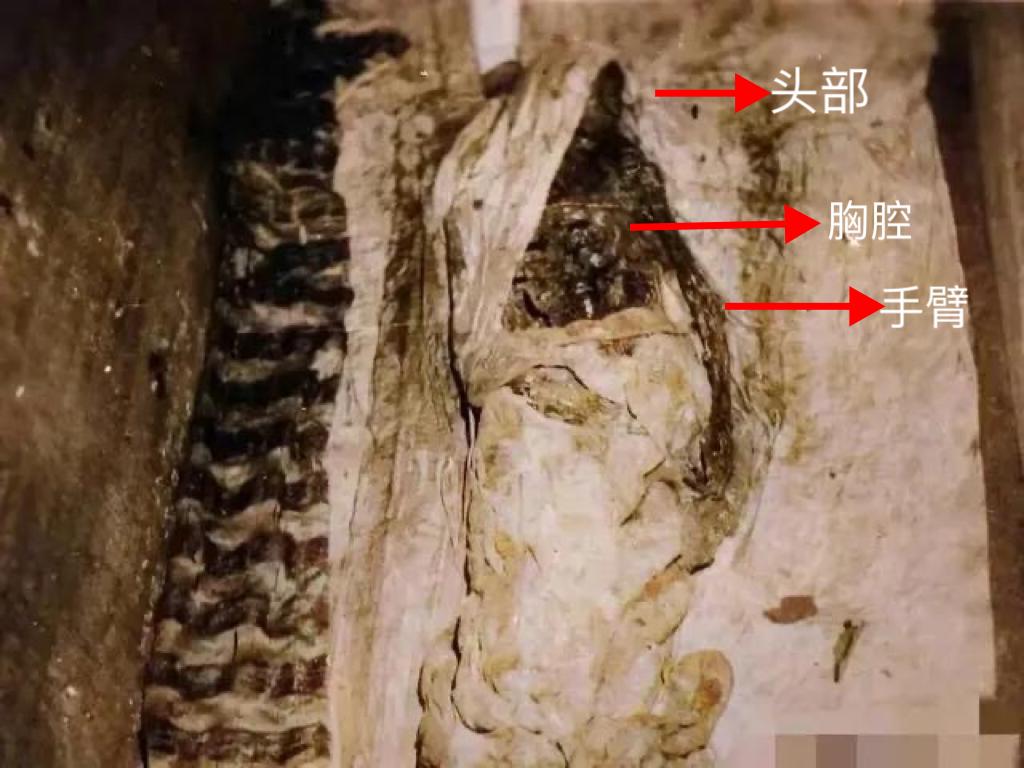 下图是慈禧一生的最后一张照片，拍摄时间是1983年，即慈禧内棺第三次被打开时。此