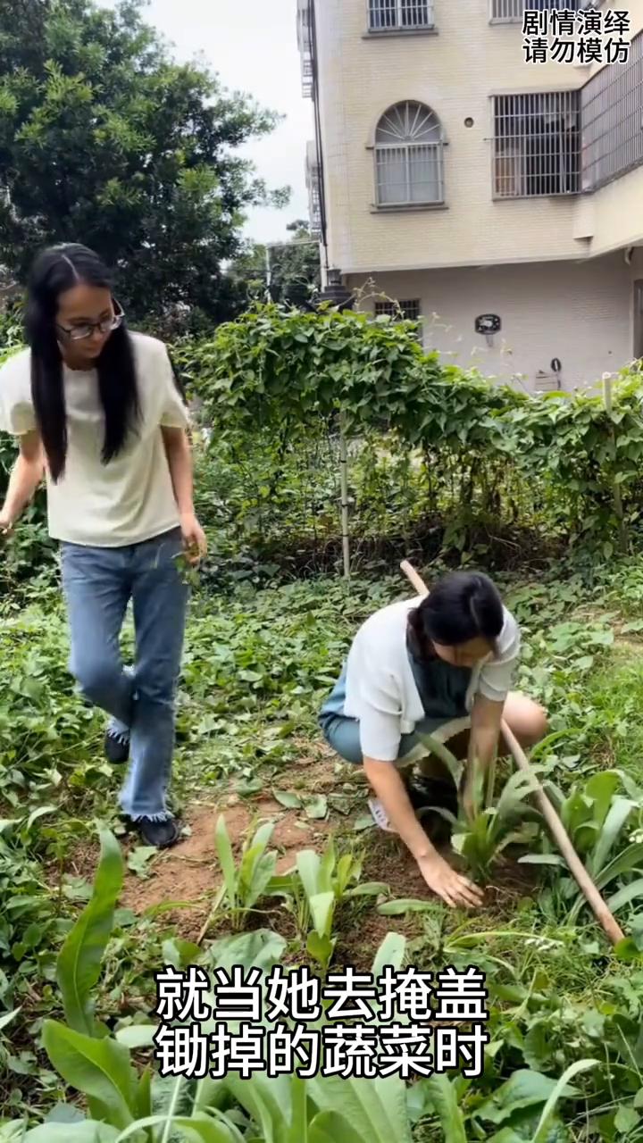 姐妹两个在地里干农活，谁知妹妹很不情愿去干活，谁知下一秒她不小心把蔬菜除掉了。就