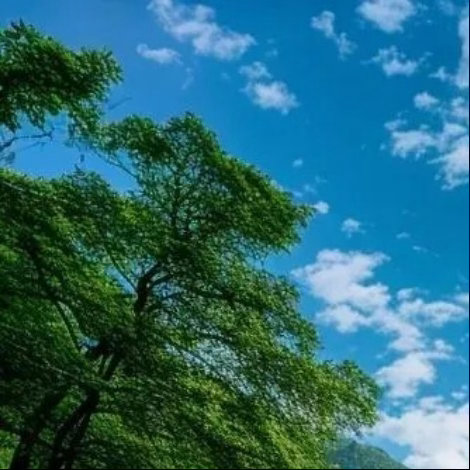 每日一善 阳光信用 匆匆人生皆过客，云卷云舒皆流星，大千世界皆微尘，何须计较失与
