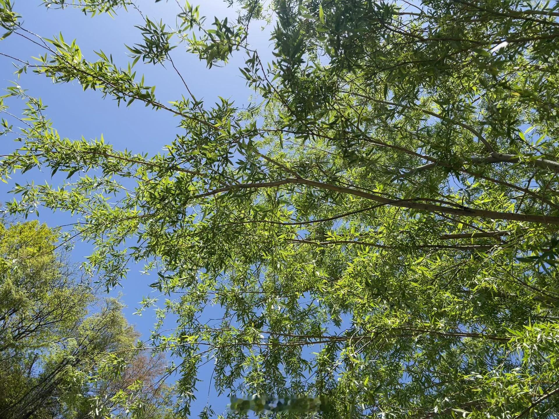 这个五一假期，刚好赶上我的阴历生日和阳历生日，该怎么过呢？不想去景区看人五一全社