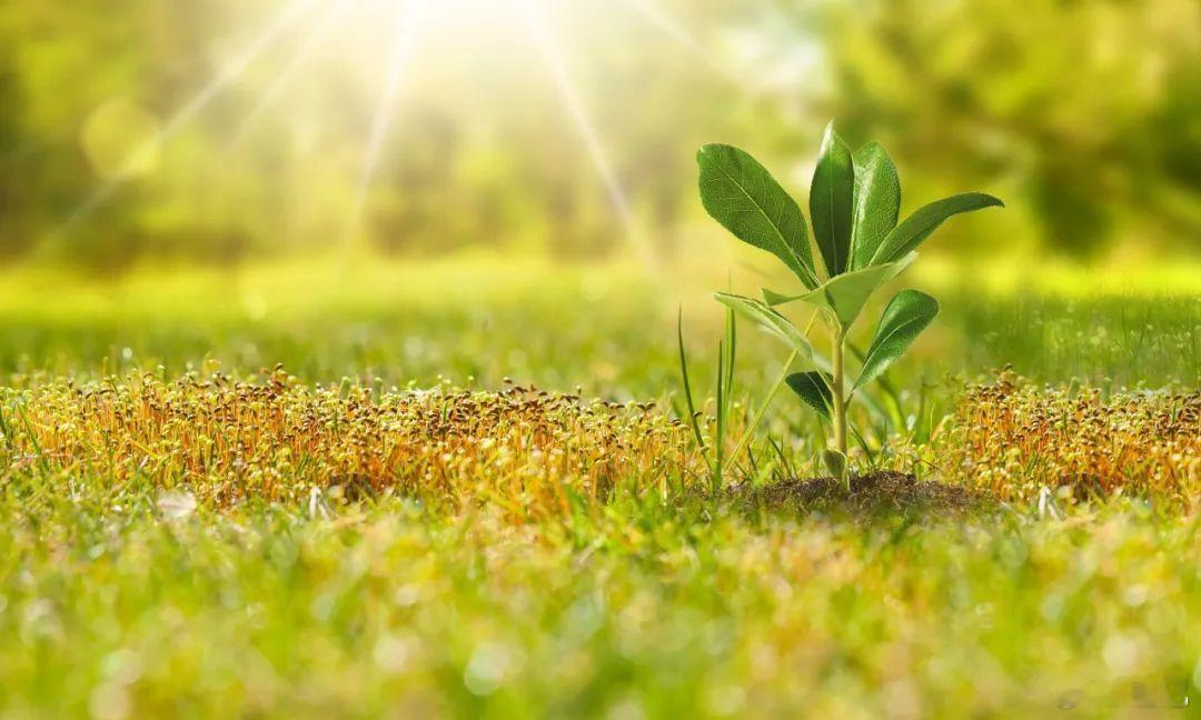 #江秋莲#【她终于有了自己的名字】八年了，以江歌妈妈为名的热搜五六百个，而今天，