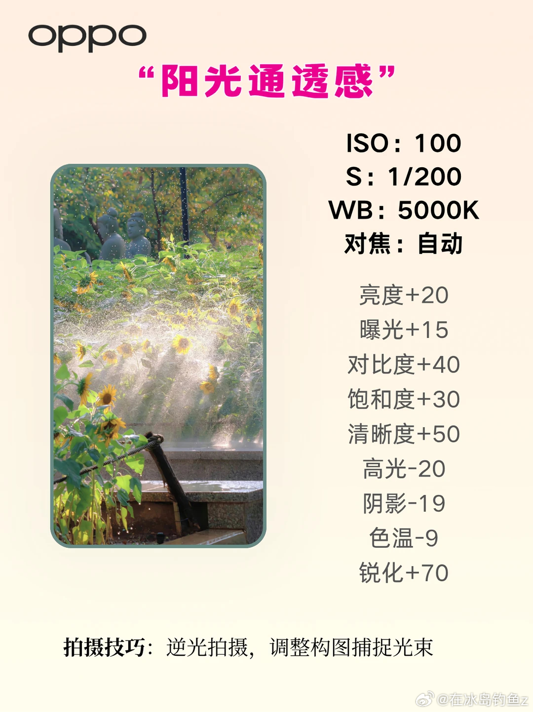 收藏过万‼️OPPO哈苏调色参数来了谁懂啊！OPPO 哈苏模式原生调色真的碾压第