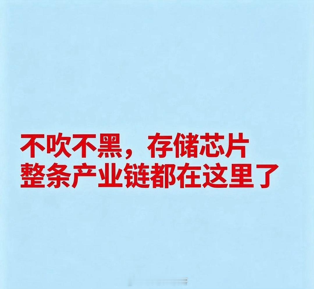 不吹不黑，存储芯片整条产业链都在这里了存储芯片三巨头（三星、SK海力士、美光）概