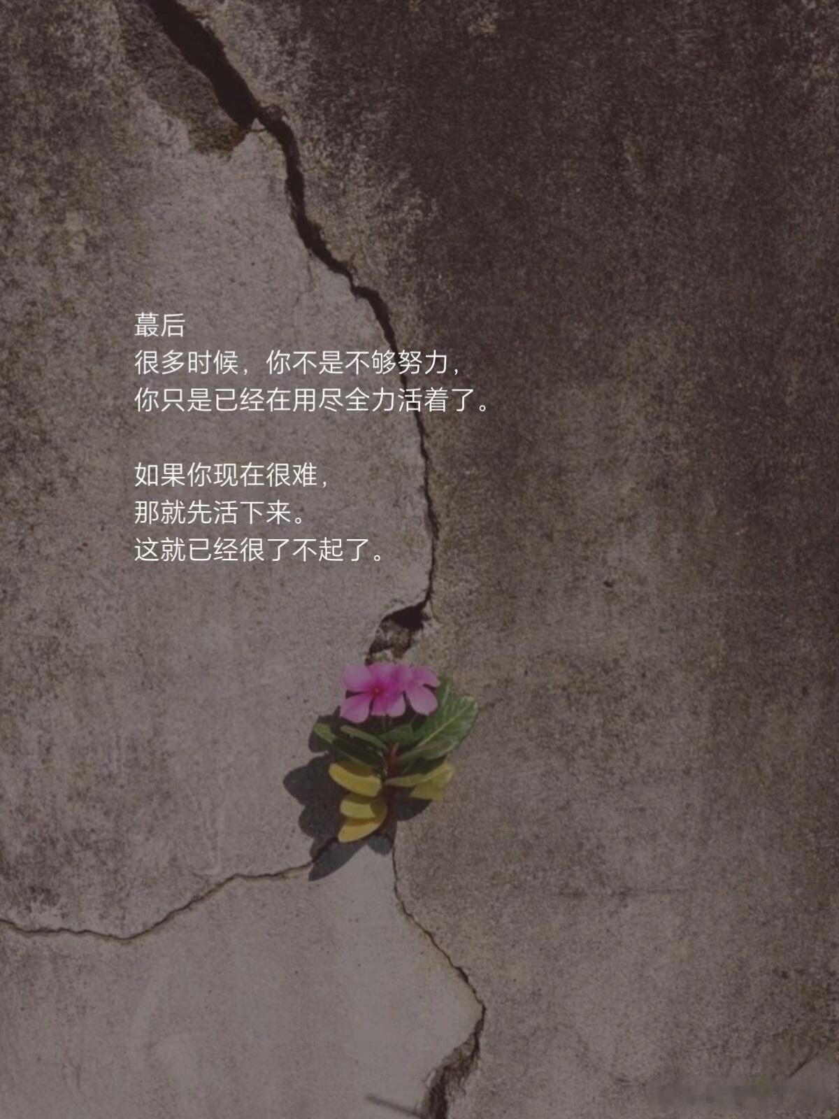 阳光信用阳光信用 每日一善 出发，永远是最有意义的事，去做就是了。当一个人真正觉