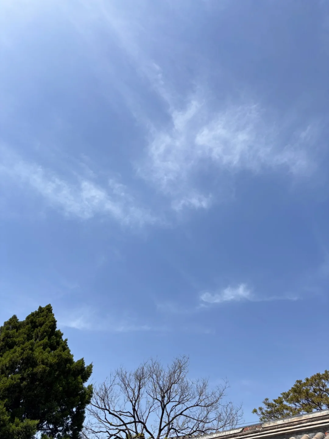 我发现女生一定要有一个优质男性朋友