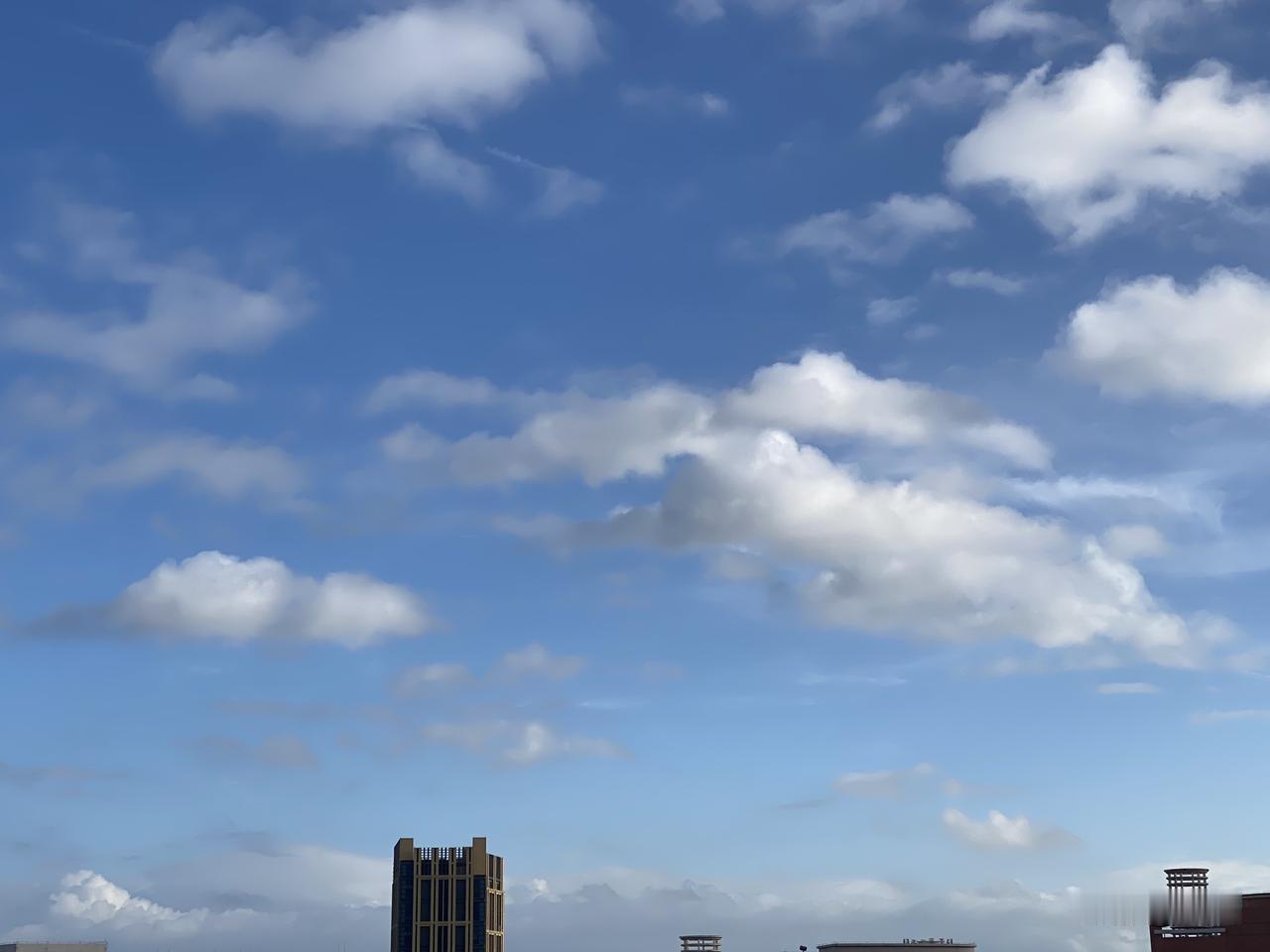 我的今日感悟 
7月你好 
六月的雨，
淋湿了头发，
却没能浇灭我心里的那团火。